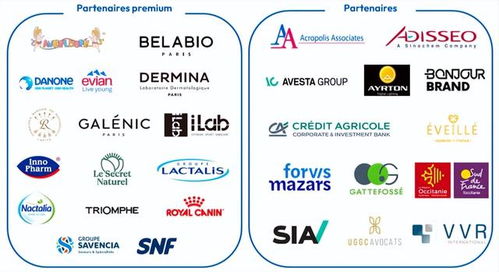 法式風(fēng)情與商務(wù)機(jī)遇 第八屆進(jìn)博會(huì)法國(guó)國(guó)家館引領(lǐng)浪漫與務(wù)實(shí)交融